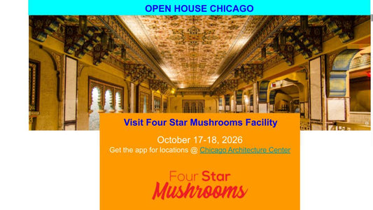 Open House Chicago