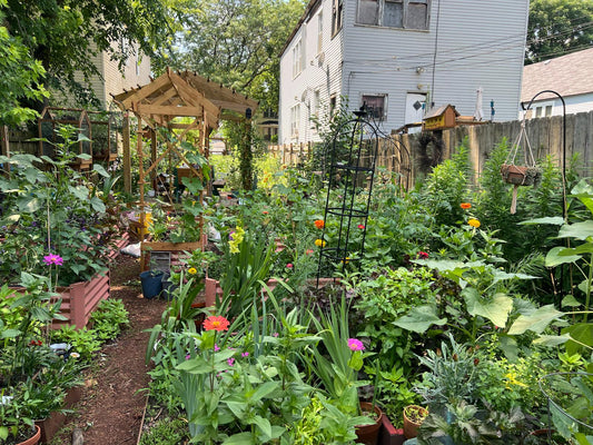 Restoring Soil in Chicago Gardens