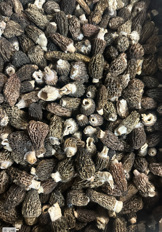 Morel Mushrooms - Conica/Burn - 4lb/case
