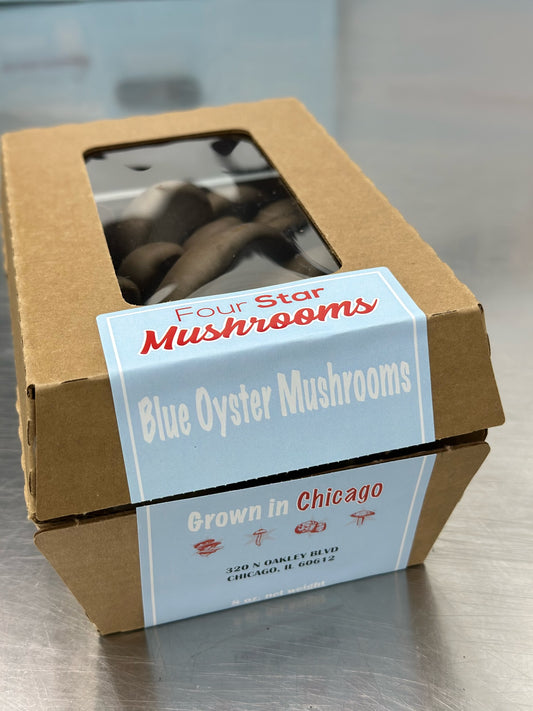 Blue Oyster Mushroom - 8oz