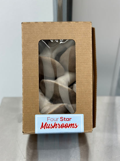 King Trumpet Mushroom - 8oz